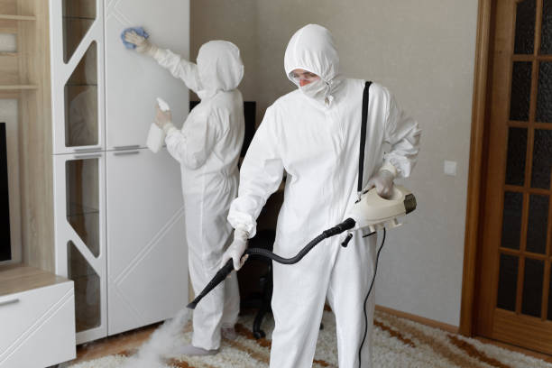 Best Basement Mold Removal  in Fort Clark Springs, TX